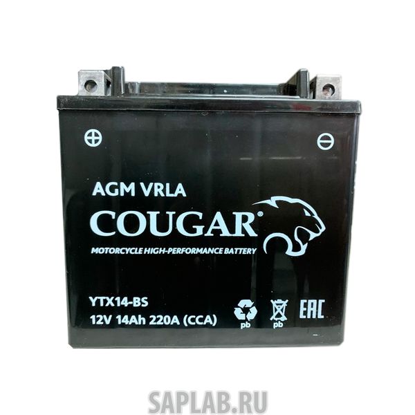 Купить запчасть COUGAR - YTX14BS Аккумулятор мотоциклетный Cougar AGM YTX14-BS 12V 14Ah (залит и готов к применению)